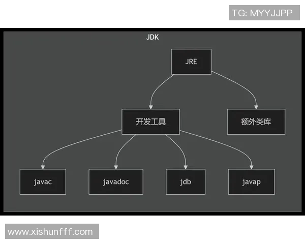 南京羽毛球队的控制策略与发展趋势深度解析