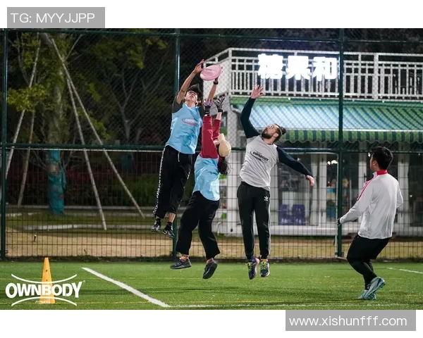 杭州飞盘队在阵地战中的表现分析与战术反思 杭州飞盘队在阵地战中的表现分析与战术反思