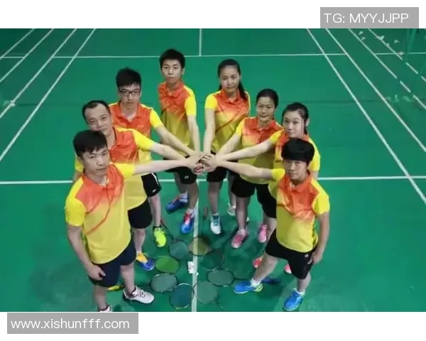 羽毛球的梦想与坚持：杭州羽毛球队成长历程的真实记录
