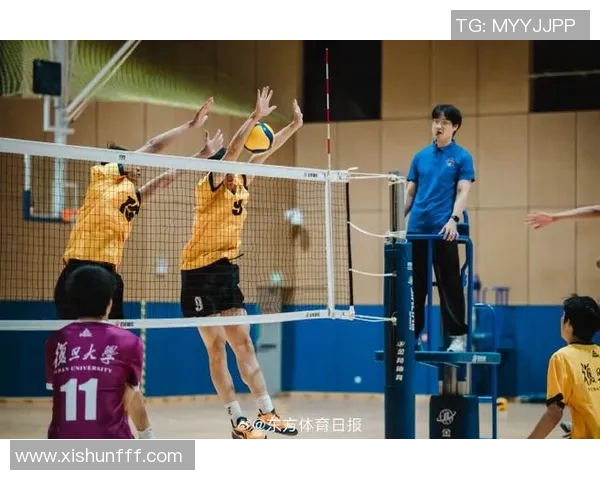 上海排球队个人能力提升引发热议助力团队整体实力增强