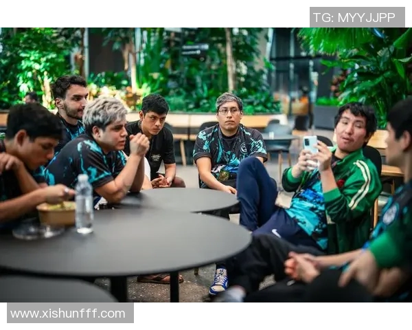 DOTA2战队V5的运营策略与战术分析深度探讨