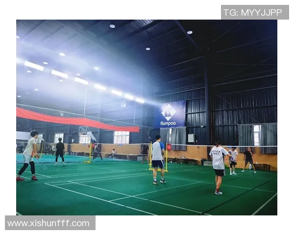 北京羽毛球队耐力表现创新高引发全国关注羽毛球耐力排名大幅提升 北京羽毛球队耐力表现创新高引发全国关注羽毛球耐力排名大幅提升