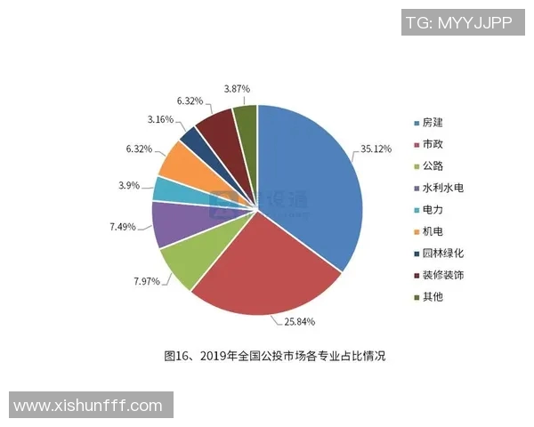 武汉滑板队灵活性表现的数据分析与训练策略探讨