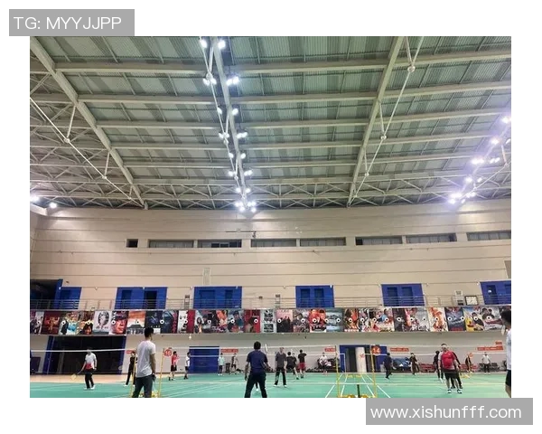 武汉羽毛球队状态深度对比分析及未来发展趋势探讨