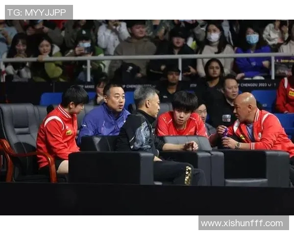 西安排球队团队协作引发热议球迷对战术配合的不同看法