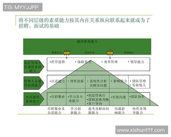 重庆排球队在锦标赛中的个人能力展现与团队协作分析