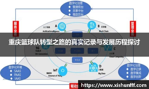 3377体育官网入口网页版
