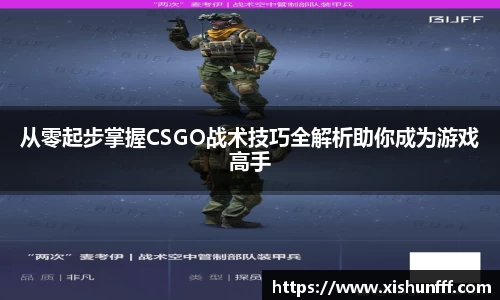 从零起步掌握CSGO战术技巧全解析助你成为游戏高手